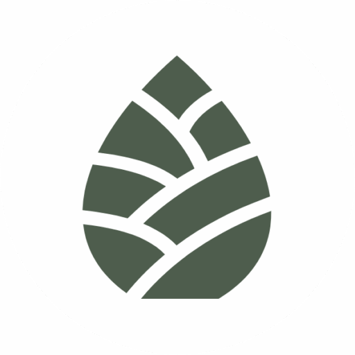 Indian Land SC Real Estate - Your Local Longleaf Group Guide